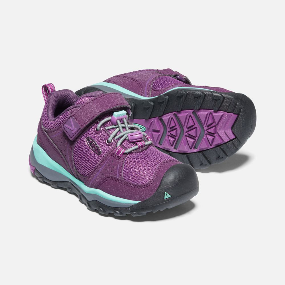 Baskets Keen Enfant Violette | Terradora Ii Sport Vent Shoes | BPLAJ-6502